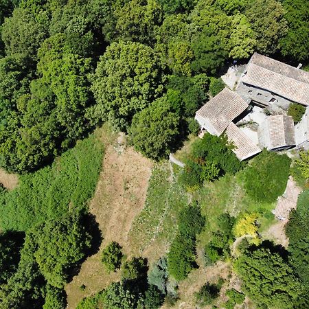 Bed and Breakfast Mas Des Nabieres Saint-Martial  Экстерьер фото