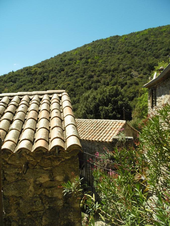 Bed and Breakfast Mas Des Nabieres Saint-Martial  Экстерьер фото